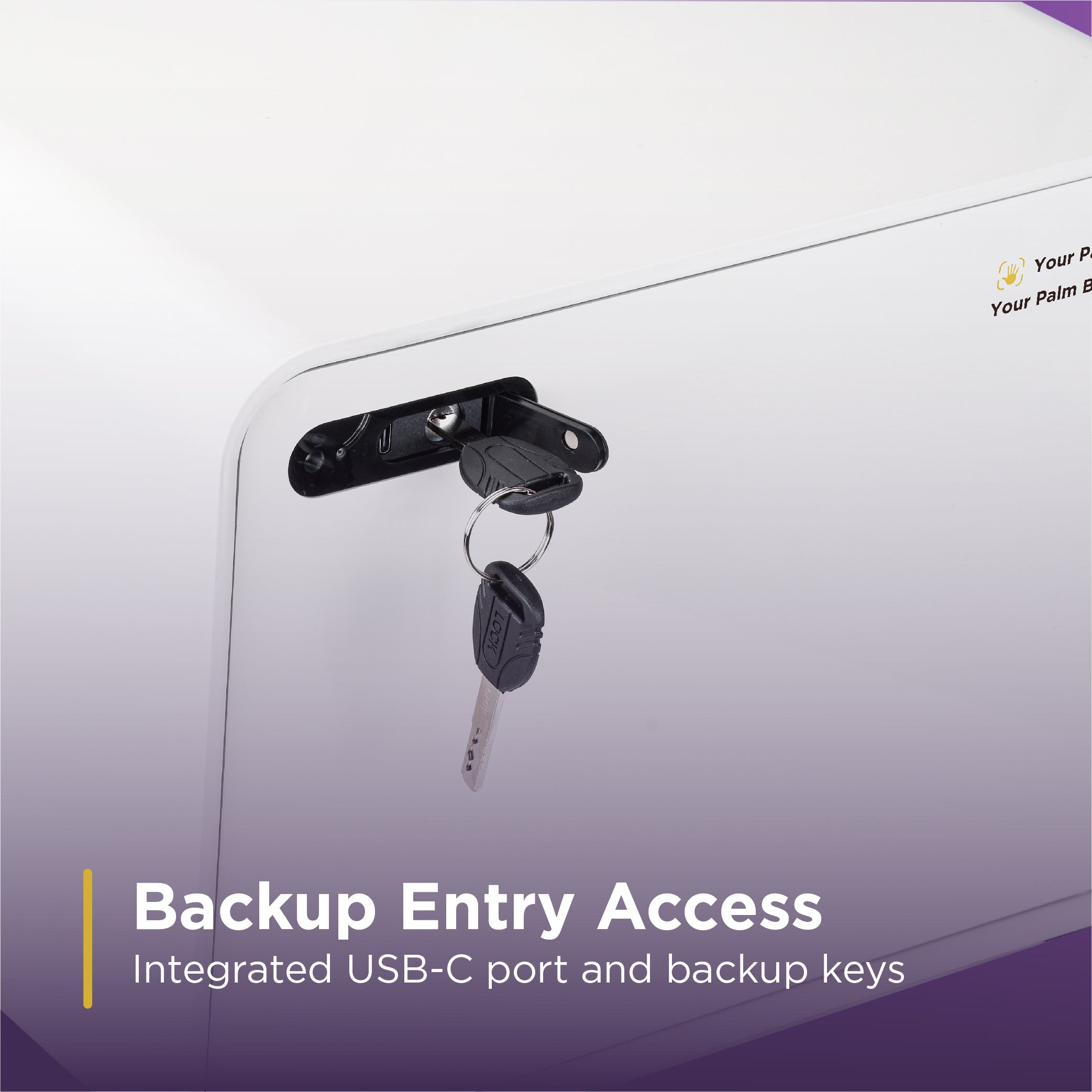 VenoTech™ Palm Vein Home & Office Safe